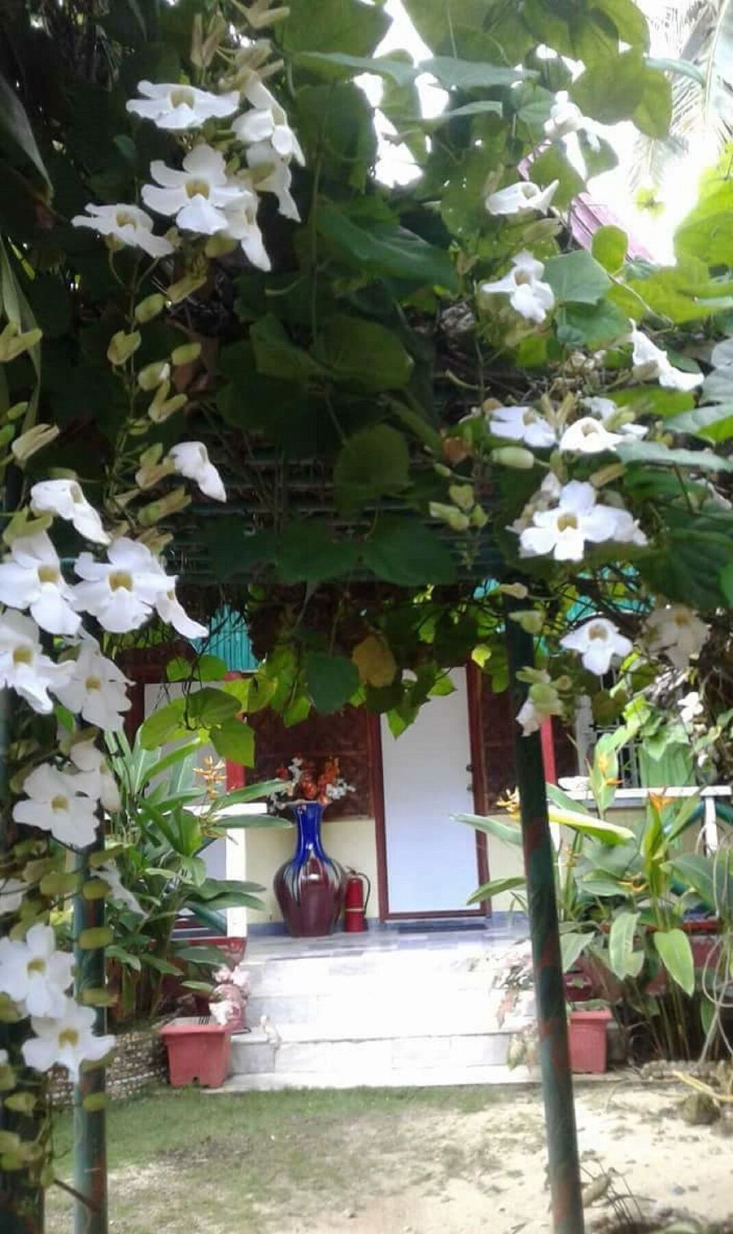 Traville Huts Palm Beach Inn بنغلاو المظهر الخارجي الصورة