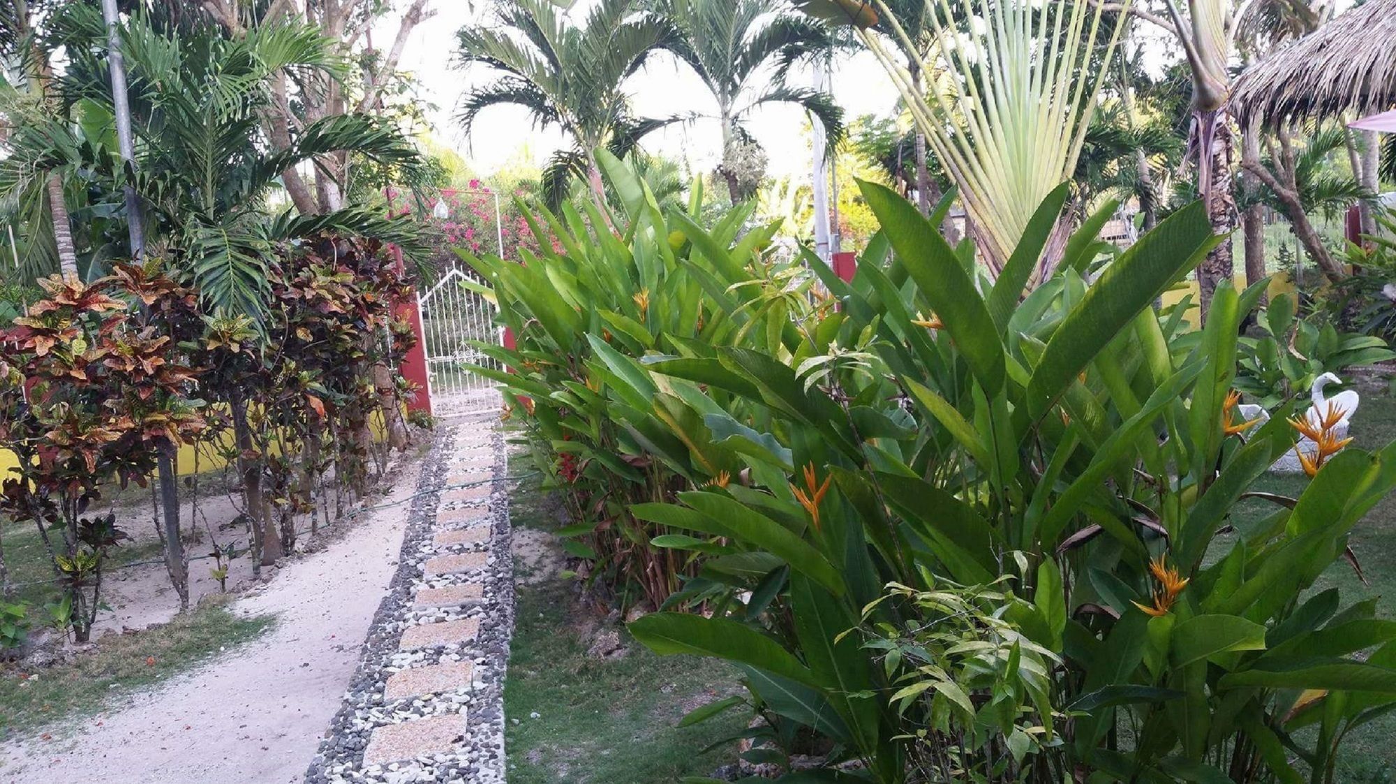 Traville Huts Palm Beach Inn بنغلاو المظهر الخارجي الصورة