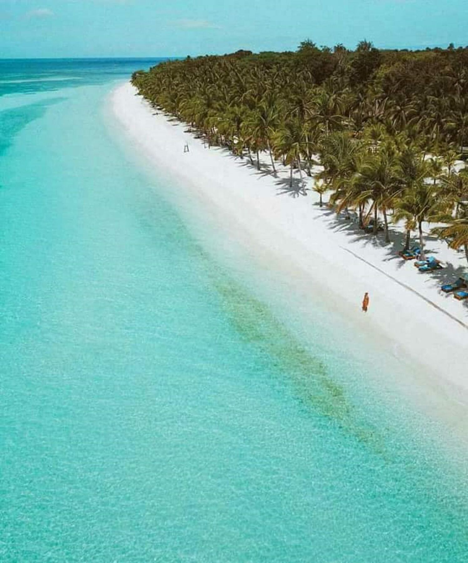 Traville Huts Palm Beach Inn بنغلاو المظهر الخارجي الصورة