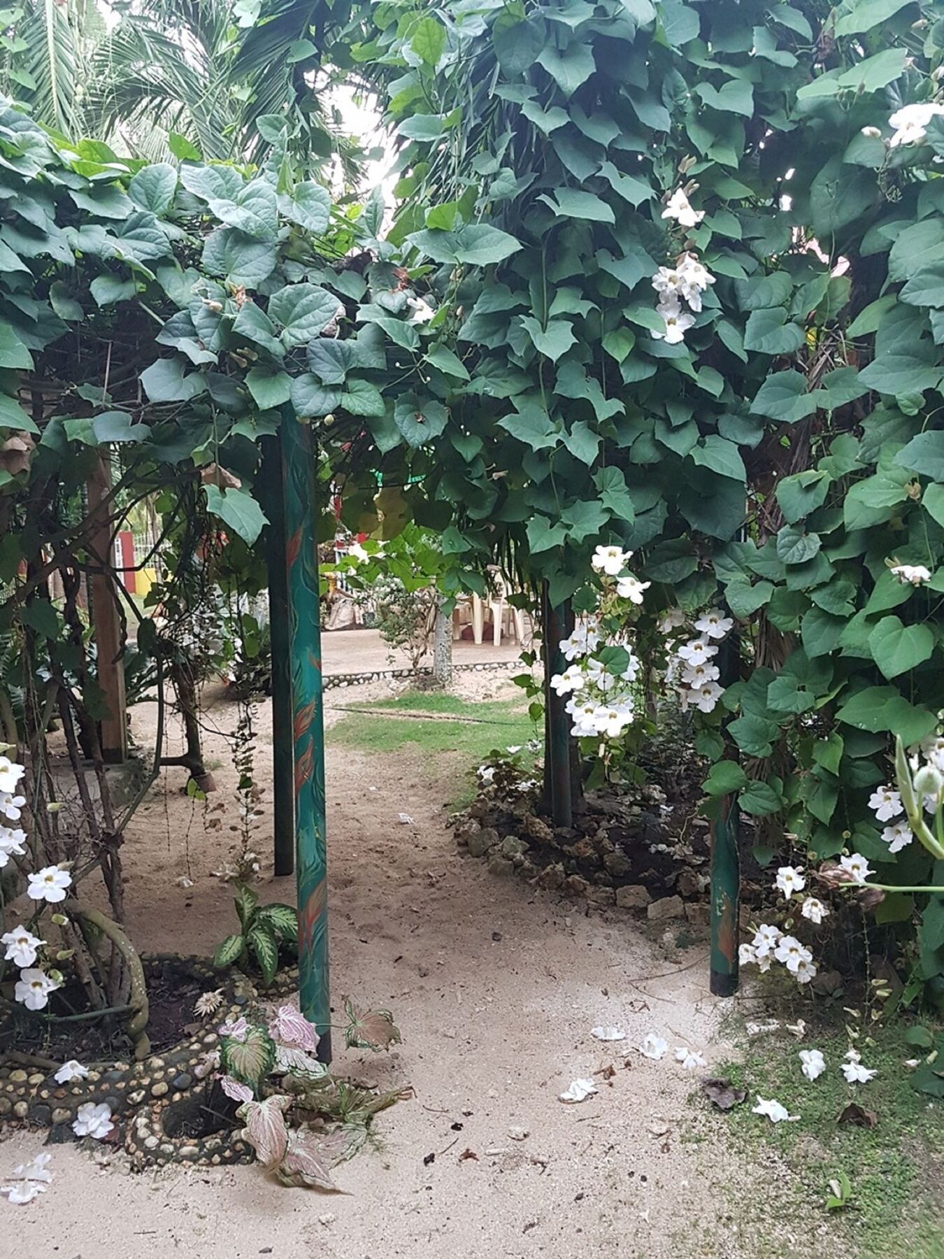 Traville Huts Palm Beach Inn بنغلاو المظهر الخارجي الصورة